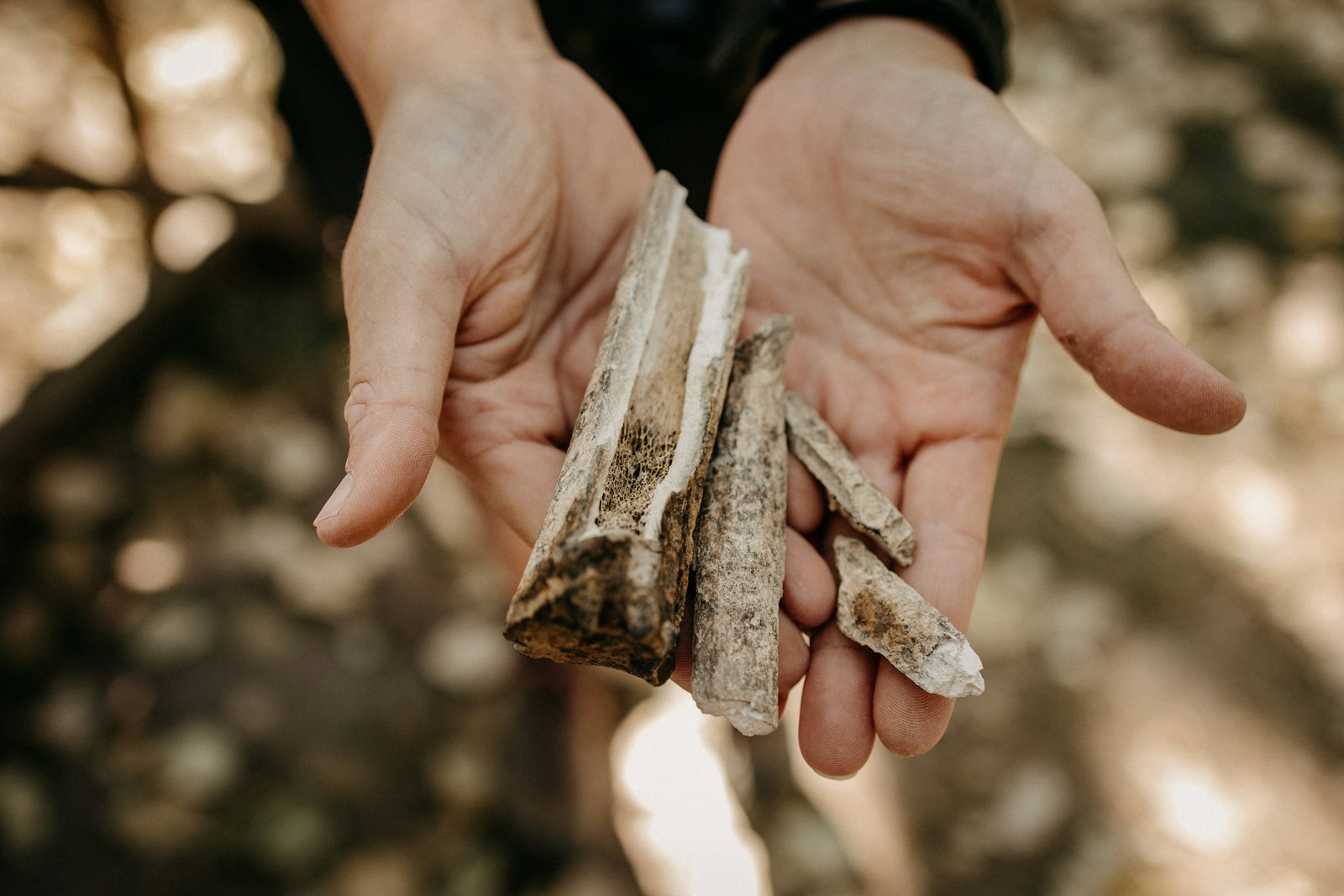 A person holding a piece of bread in their hand